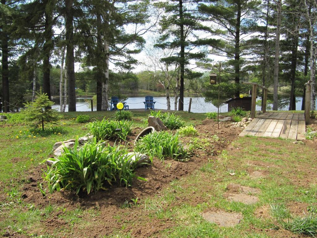 Spring Lake Resort Dwight Exterior foto